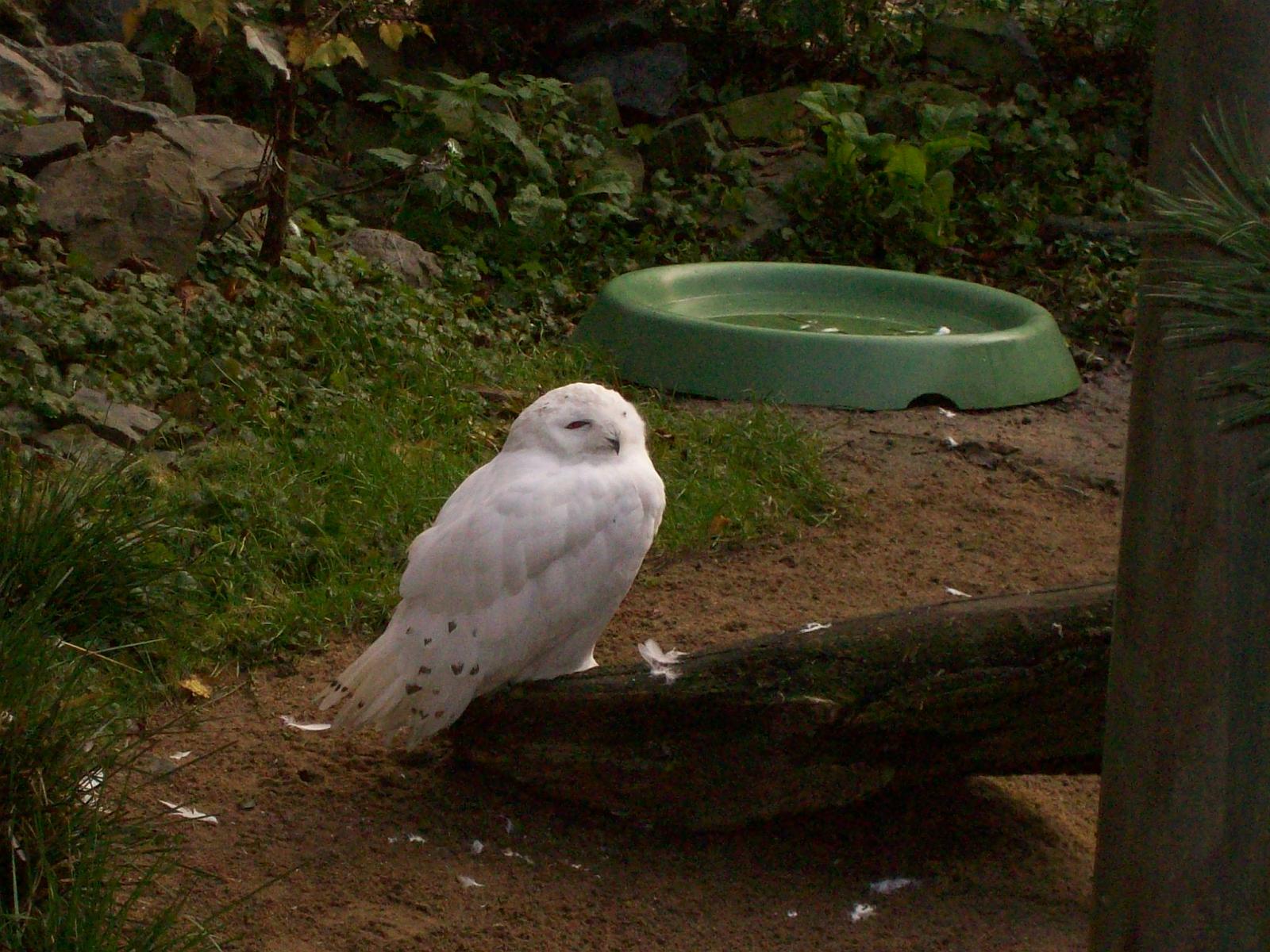 Zoom 18.10.2008-007.jpg